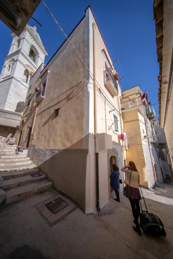 La Ferula Magica - Alloggio Tipico Apartment Minervino Murge Exterior foto